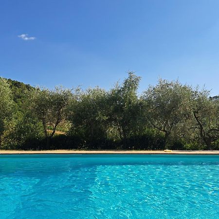 Agriturismo Poggio All'Olmo Villa Greve in Chianti Exterior photo
