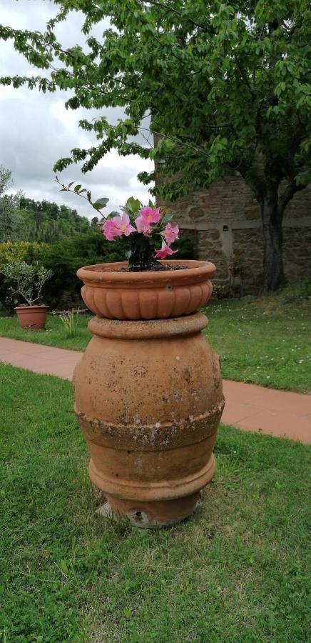 Agriturismo Poggio All'Olmo Villa Greve in Chianti Exterior photo