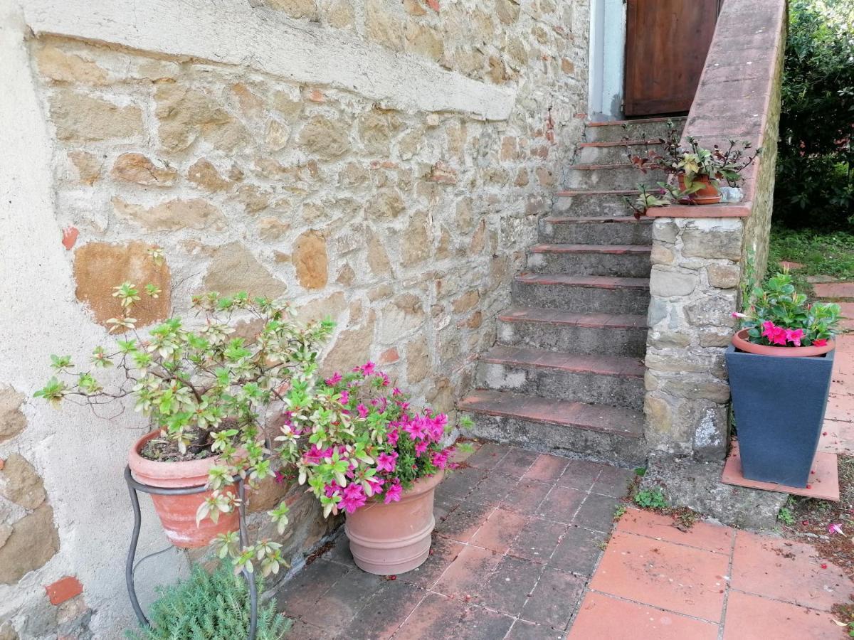 Agriturismo Poggio All'Olmo Villa Greve in Chianti Exterior photo